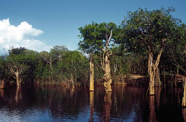 Cidades do brasil - Extension en Amazonie