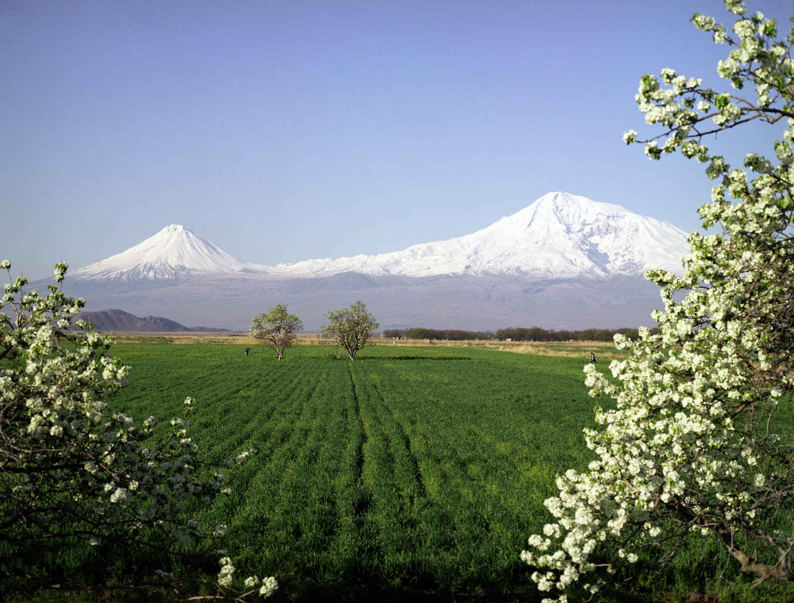 Armenia sacra