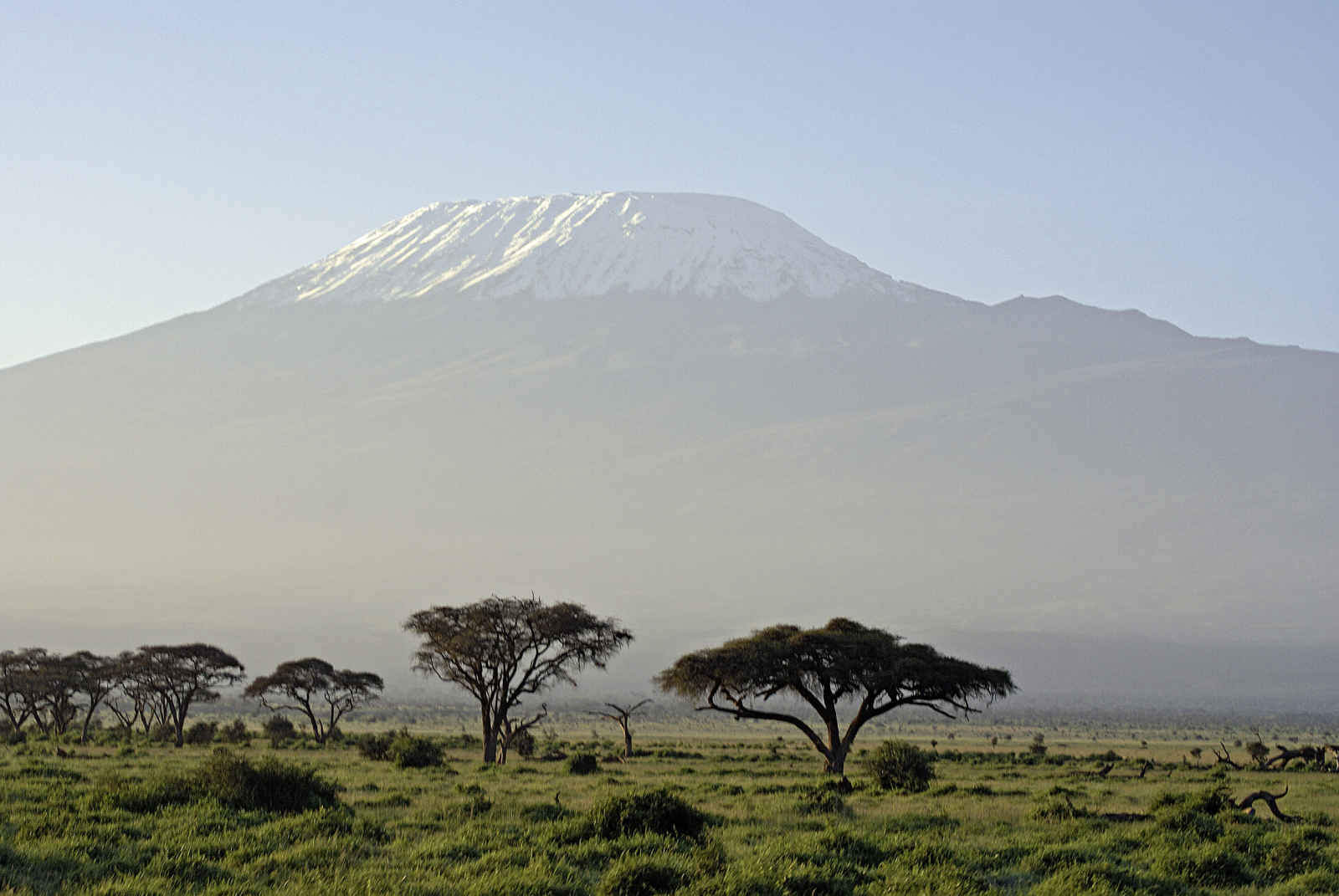 Souvenirs du Kilimandjaro