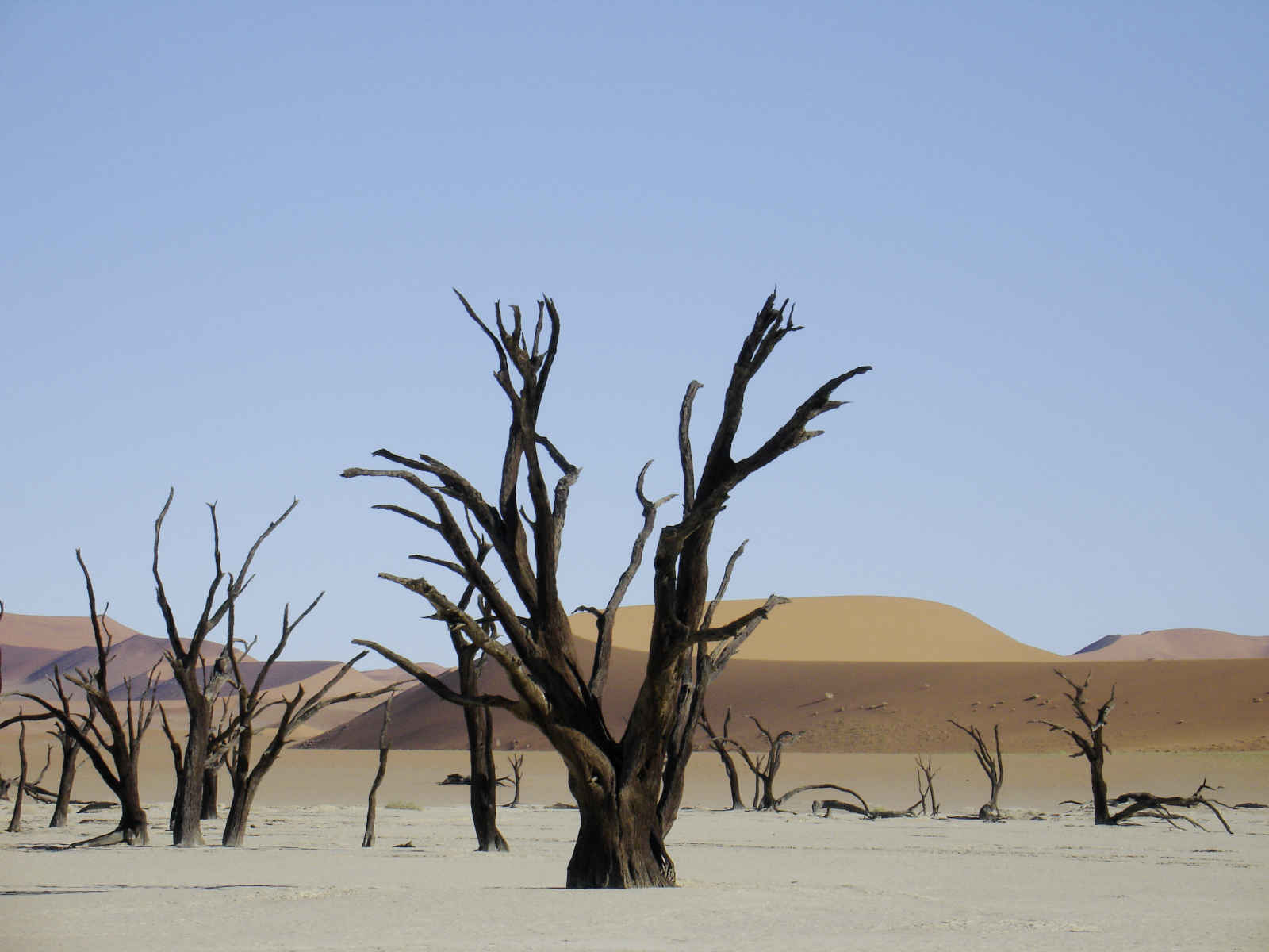 Namibie infinie
