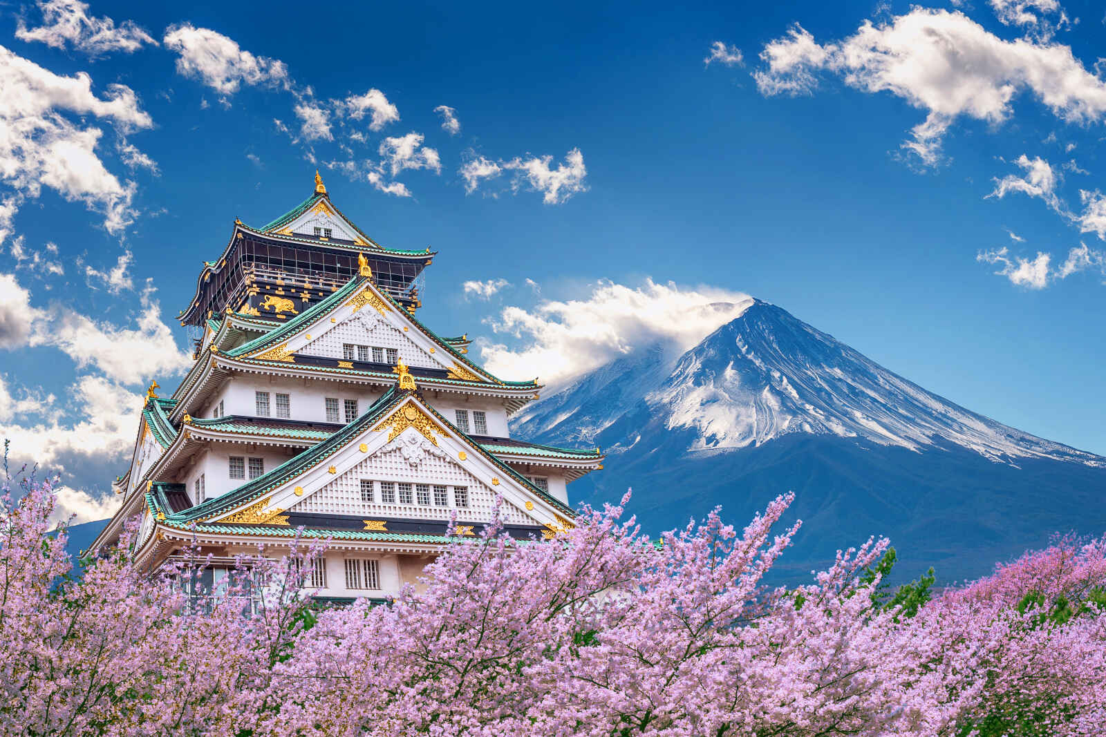 Féerie japonaise