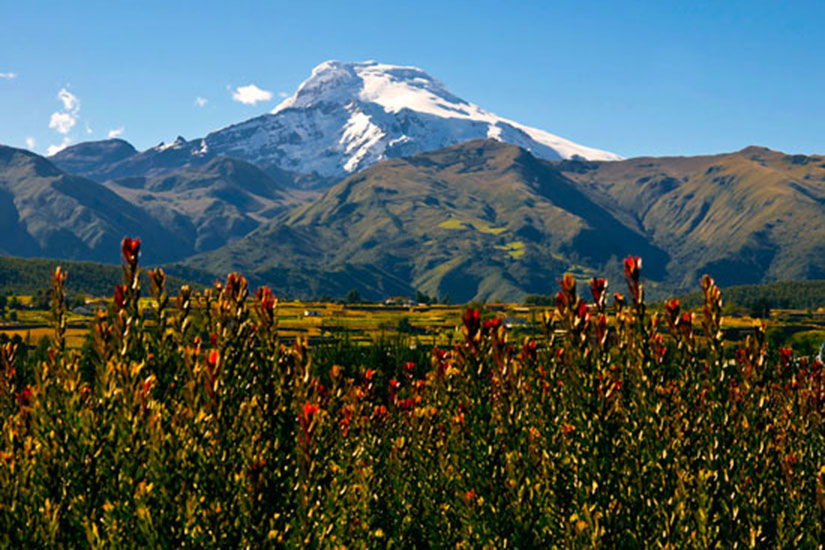 rencontre equateur