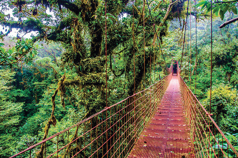 Le Costa Rica, le Paradis Vert