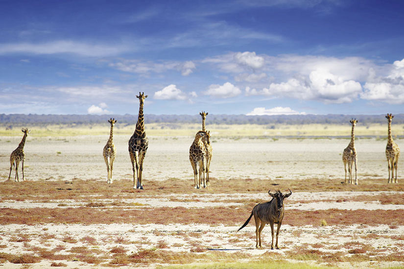 Immersion au Coeur des Terres Africaines en 17 jours