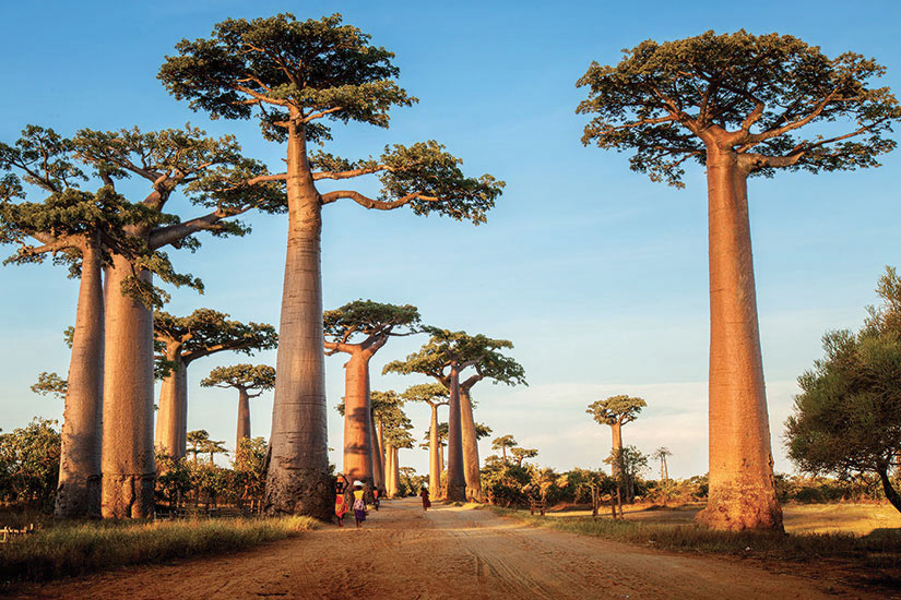 Madagascar autrement