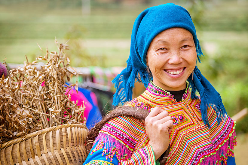Le Vietnam, entre rizières et montagnes