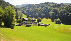 Berghotel Hinterduxerhof - Autriche