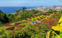 Au C?ur de Madère 3* Funchal - Madère