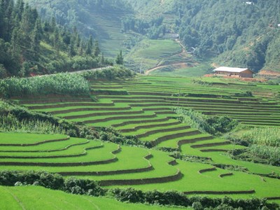 Vietnam Insolite