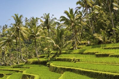 Vietnam Insolite