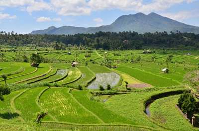 La jungle d'Ubud aux sables de Bali 3*