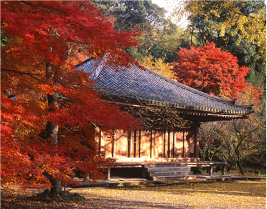Héritage Nippon, le Japon en liberté