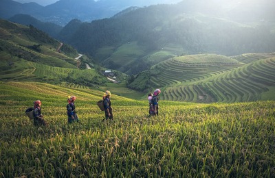 Laos Authentique en privatif