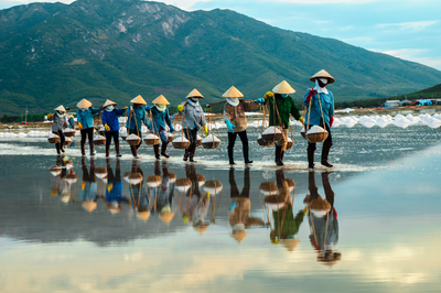Vietnam, Terre du Dragon ...