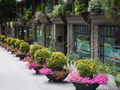 Hôtel Mercure (saison été) ****