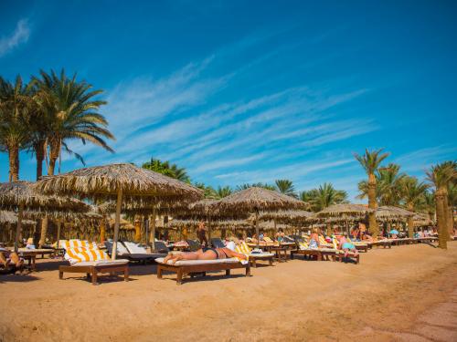 Hôtel Sindbad Club ****