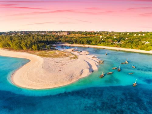 Circuit Zanzibar : entre nature, senteurs et plages (Framissima Paje Palms Beach) 4* sup
