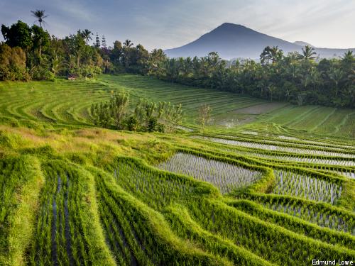 Circuit Balade à Bali + extension balnéaire