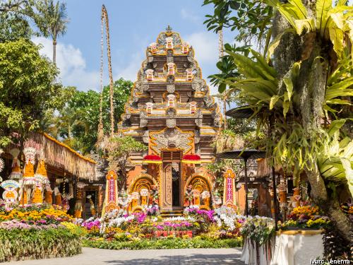 Combiné circuit et hôtel De Ubud aux plages balinaises