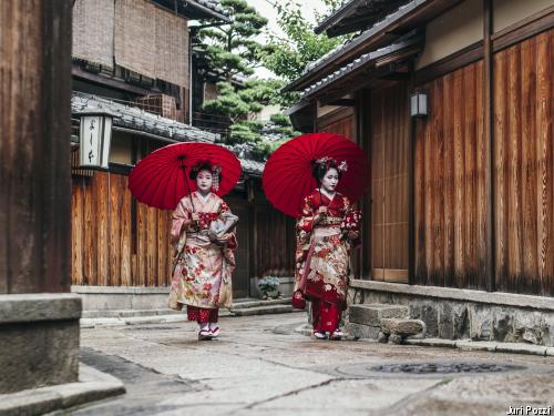 Circuit Les essentiels du Japon ***
