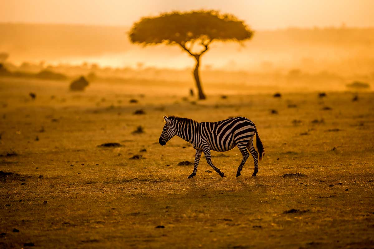 Circuit Voyage au pays arc-en-ciel, le grand tour de l'Afrique du Sud