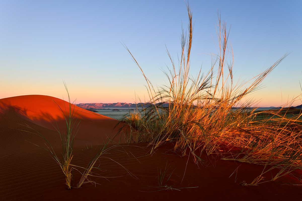 Circuit Envolée en terres australes : du parc Kruger au désert du Namib