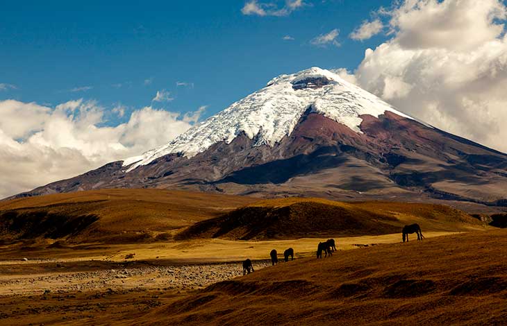 Circuit L'Equateur des traditions - Sans transport