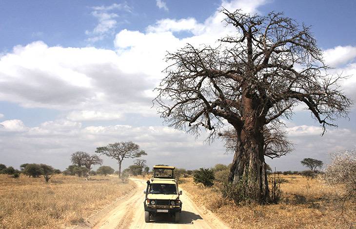 Circuit Safari authentique Tanzanie - Sans transport