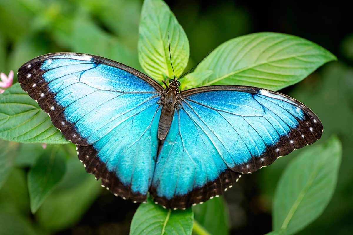 Circuit Costa Rica Nature