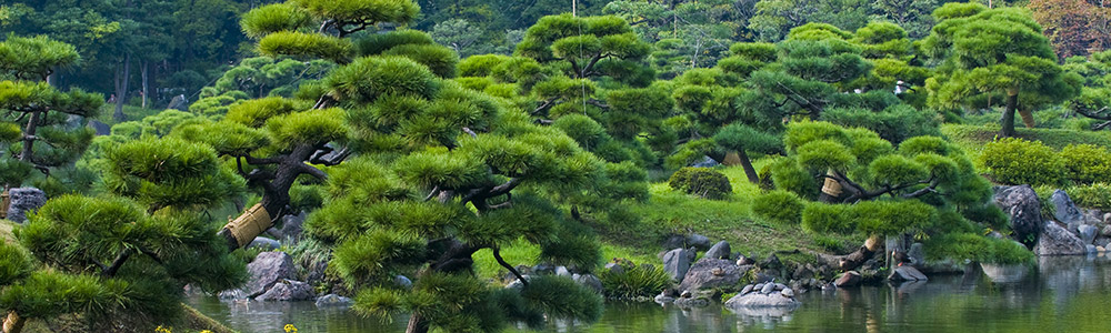Shanghai / Tokyo - NAU180306 - Nautica - Oceania Cruises