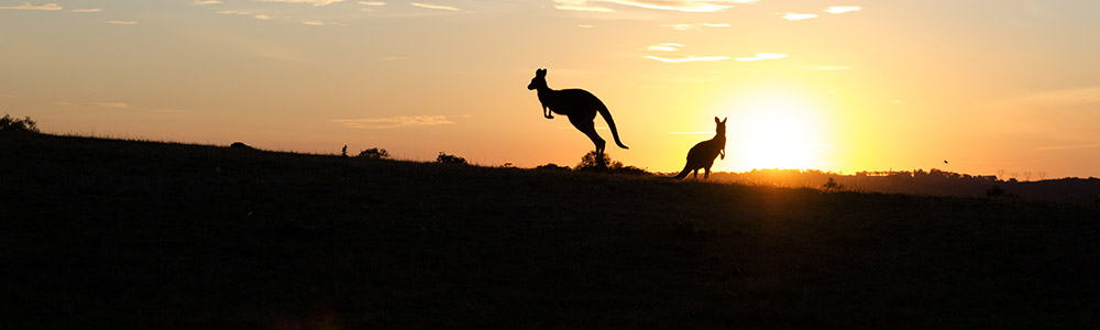 L'Australie en 10 nuits - Norwegian Jewel - Norwegian Cruise Line