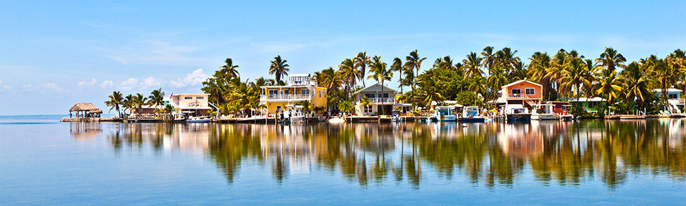 Tampa / Tampa -T828 - ms Rotterdam - Holland America Line