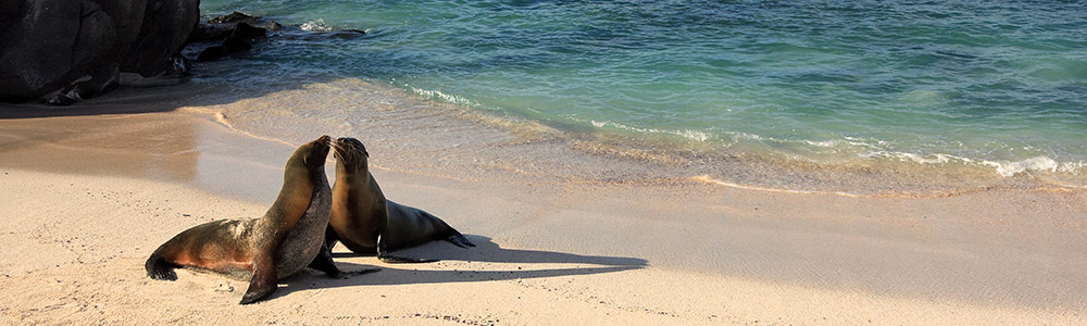 de Baltra à San Cristobal - Silver Galapagos - Silversea
