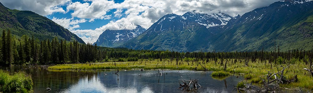 Alaska 2018 - VIII - ms Volendam - Holland America Line