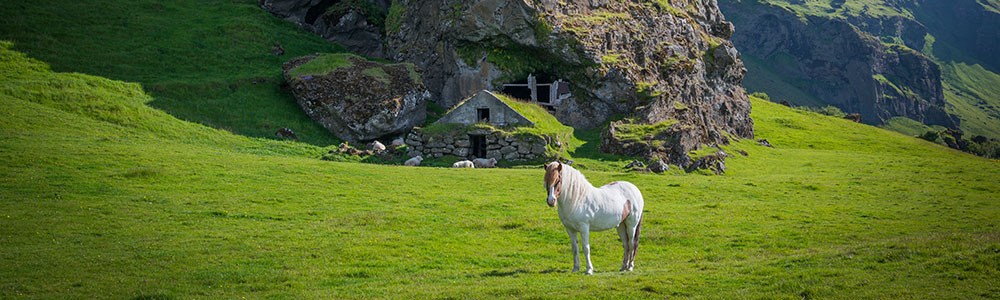 Norvège, Islande et Royaume-Uni au départ de Hambourg - Norwegian Jade - Norwegian Cruise Line