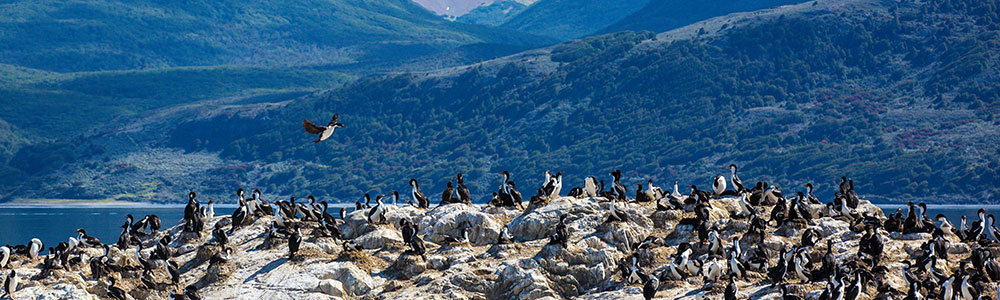 Patagonie et Fjords chiliens - B070318 - Le Boréal - Ponant