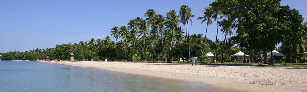 Caraïbes Orientales - J926 - ms Nieuw Statendam - Holland America Line
