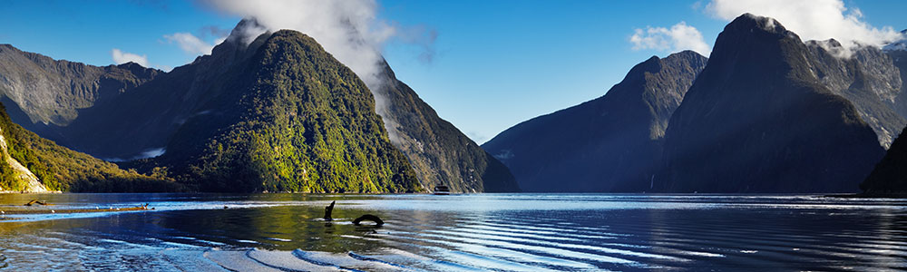 Auckland / Sydney - REG190215 - Regatta - Oceania Cruises