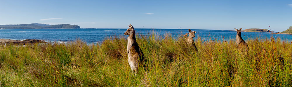 Auckland / Bali - 6904 - Silver Muse - Silversea