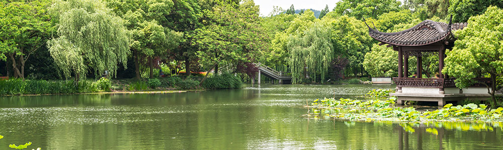 Hong Kong / Tokyo - 6907 - Silver Muse - Silversea