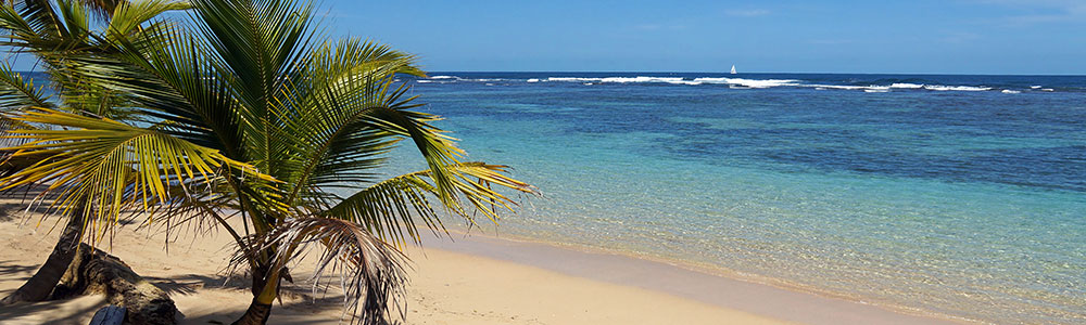 Les Caraïbes Occidentales II - ms Rotterdam - Holland America Line