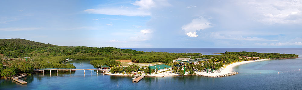 Les Caraïbes Occidentales I - ms Rotterdam - Holland America Line