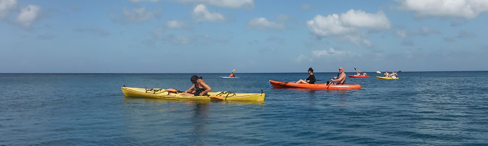 Ouest des Caraïbes II - ms Oosterdam - Holland America Line