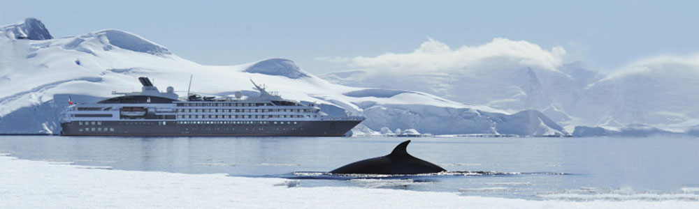 La grande aventure - A280220 - L'Austral - Ponant