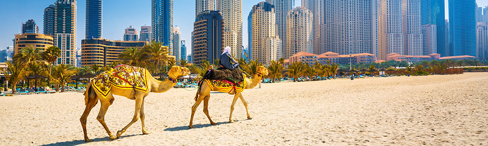 Autour de Dubaï - Oceana - P&O Cruises