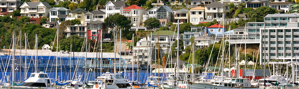 de Sydney à Auckland - M015 - ms Maasdam - Holland America Line