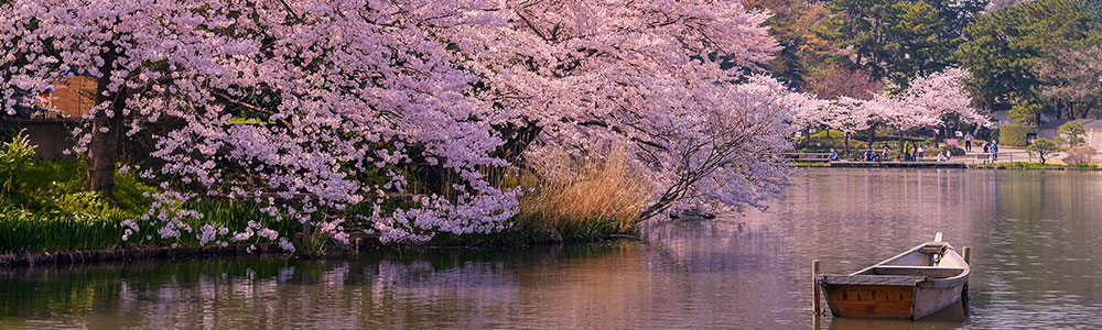 L'essentiel du Japon - S070520 - Le Soléal - Ponant