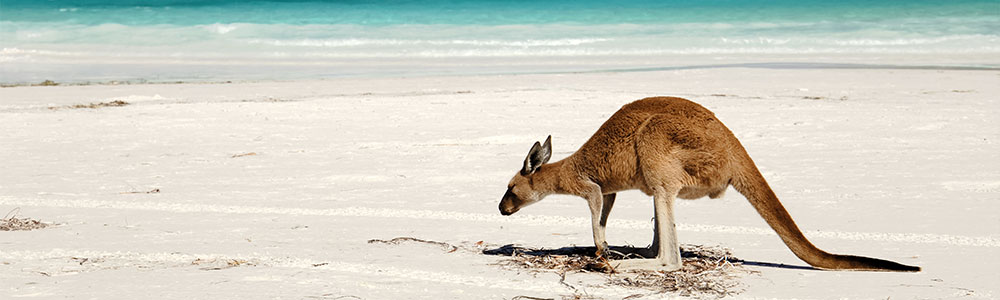 de Perth à Melbourne - PR14K101 - Azamara Pursuit® - Azamara Club Cruises®
