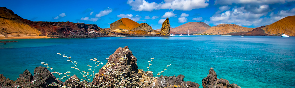 Les Galapagos : Vers le Nord - XP07G022 - Celebrity Xpedition? - Celebrity Cruises