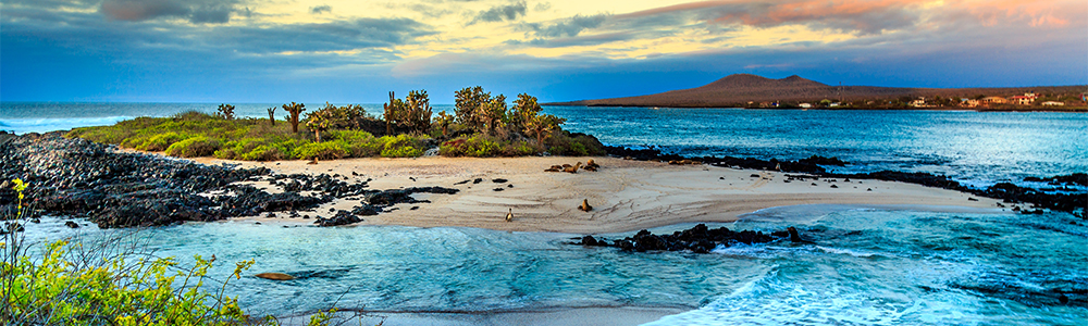 Les Galapagos : Vers le Sud - XP07G025